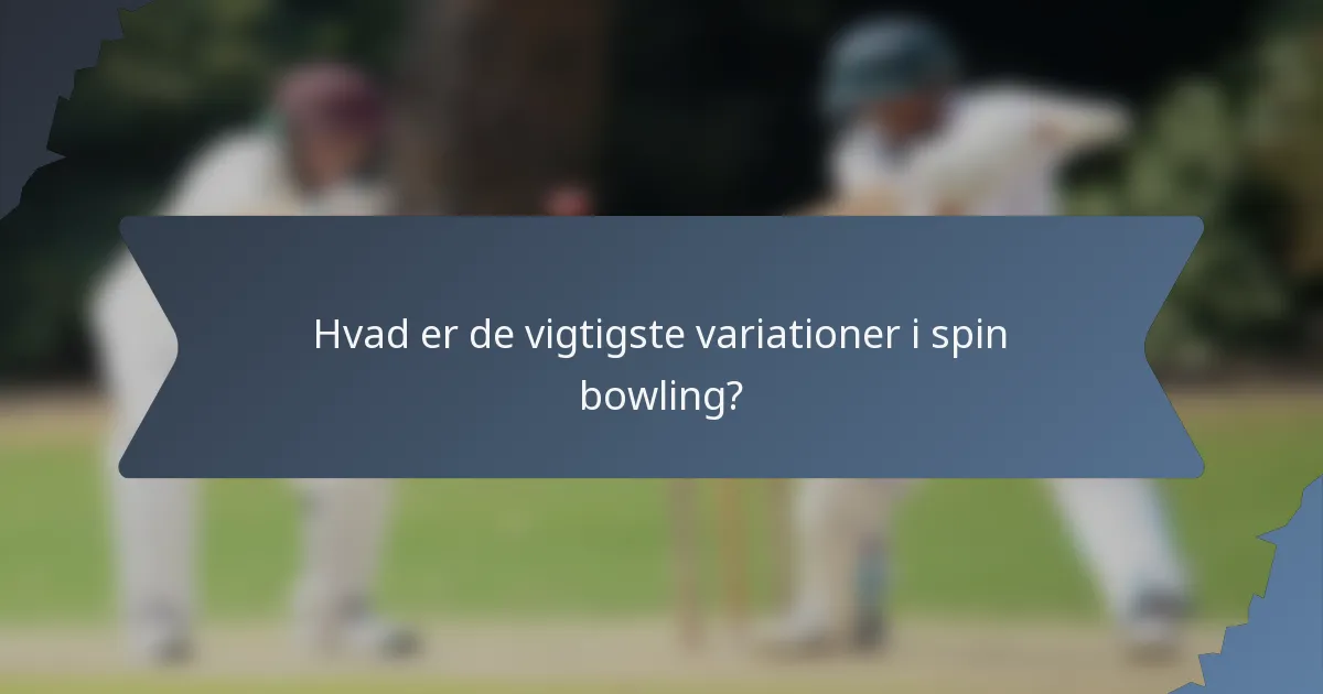 Hvad er de vigtigste variationer i spin bowling?