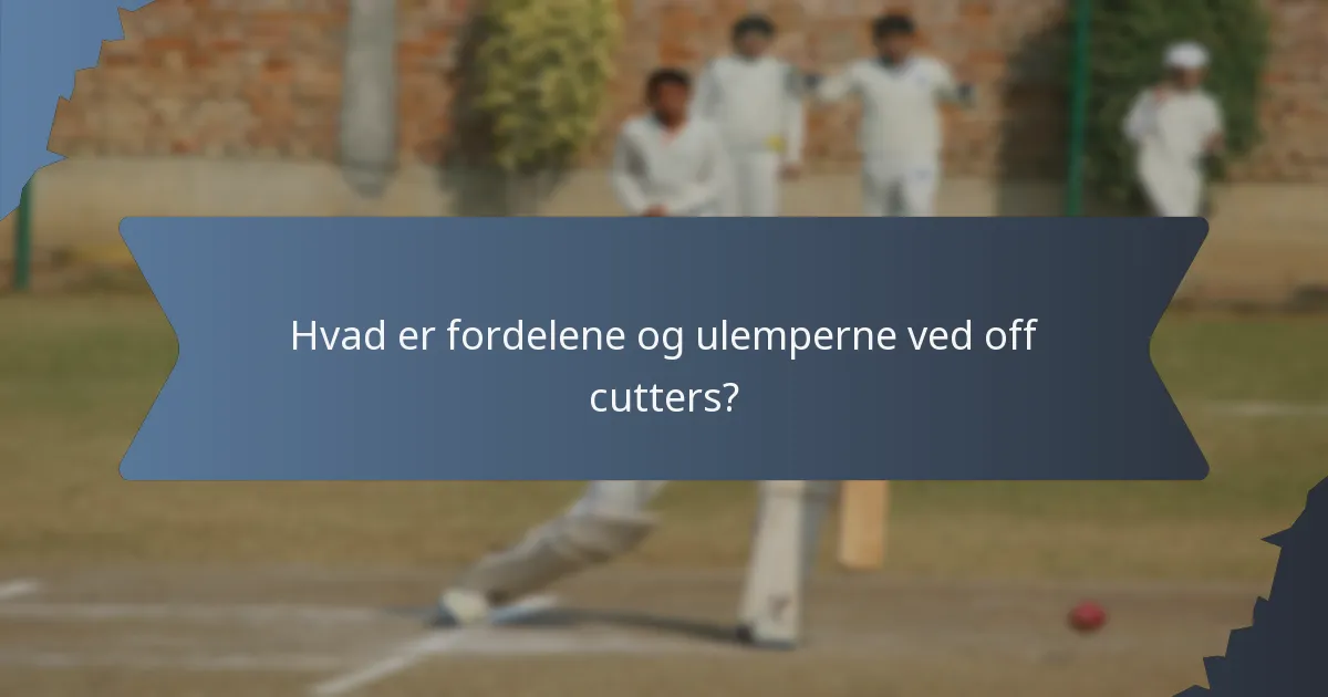 Hvad er fordelene og ulemperne ved off cutters?